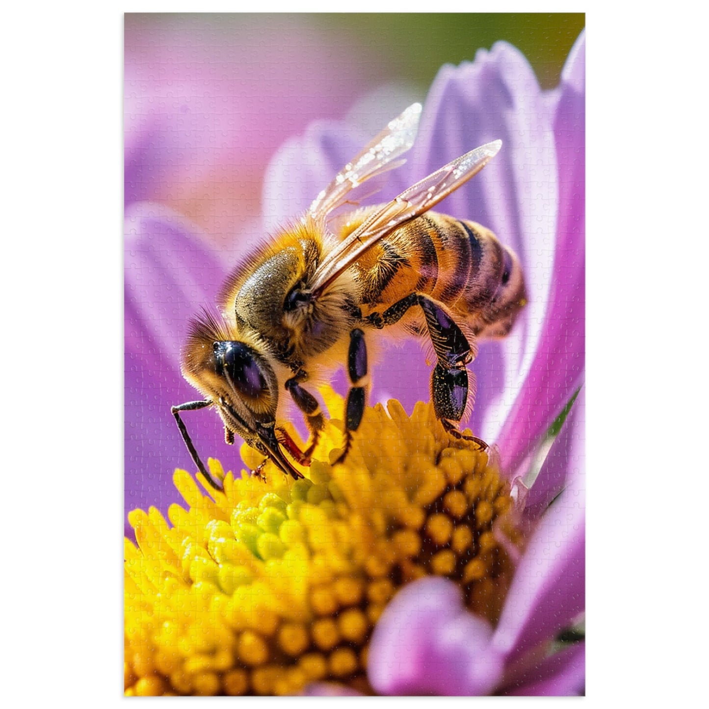 Pollination Jigsaw Puzzle (30, 110, 252, 500,1000-Piece)