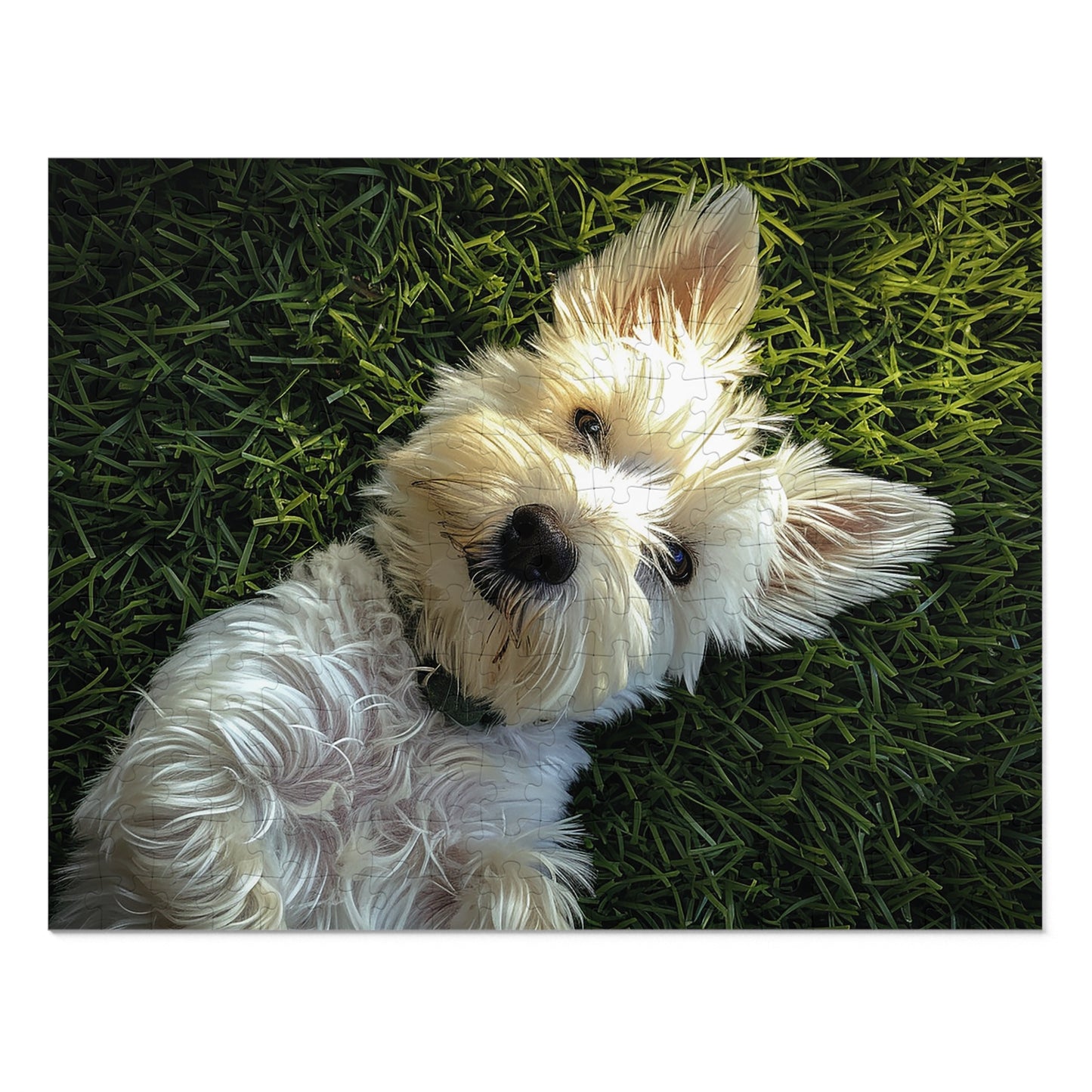 Westie Puppy Rolling in the Grass Jigsaw Puzzle (30, 110, 252, 500,1000-Piece)