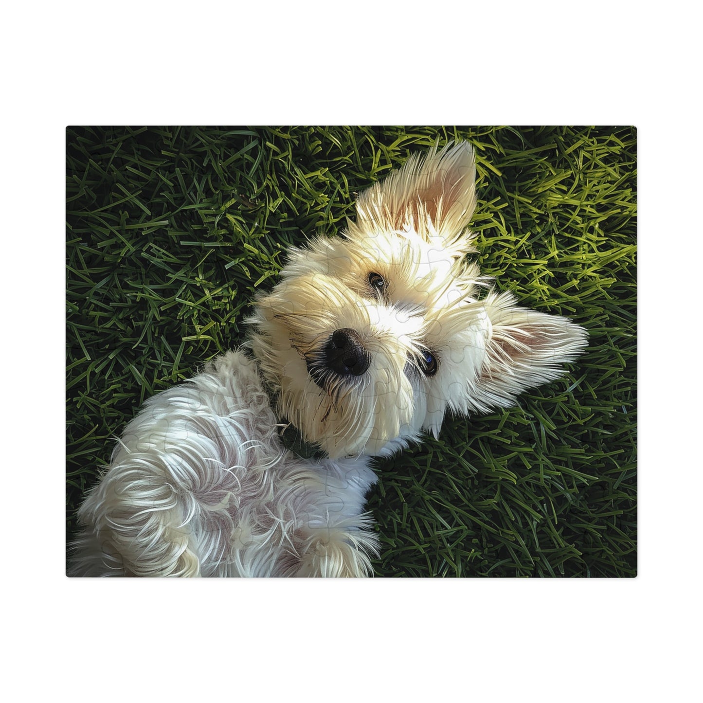 Westie Puppy Rolling in the Grass Jigsaw Puzzle (30, 110, 252, 500,1000-Piece)