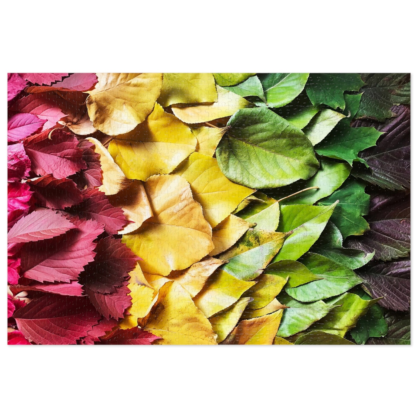 Colorful Leaves  Jigsaw Puzzle (30, 110, 252, 500,1000-Piece)