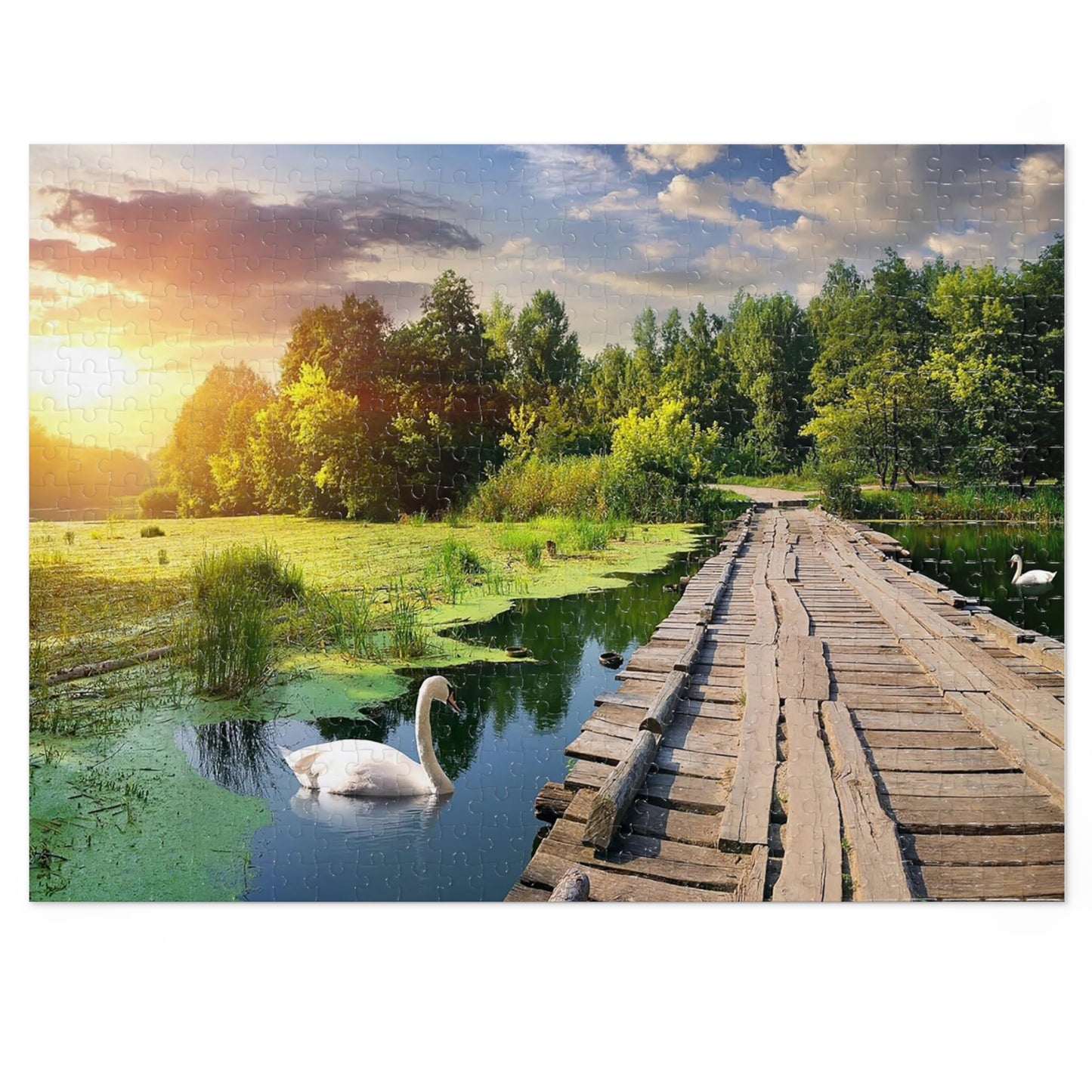 Sunset on Swan Lake  Jigsaw Puzzle (30, 110, 252, 500,1000-Piece)