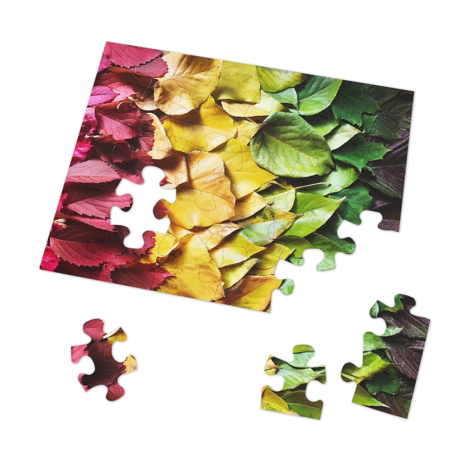 Colorful Leaves  Jigsaw Puzzle (30, 110, 252, 500,1000-Piece)