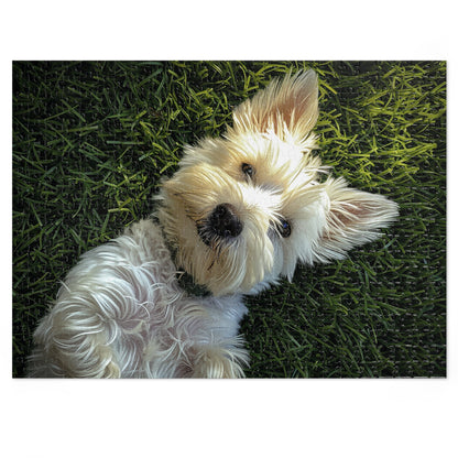 Westie Puppy Rolling in the Grass Jigsaw Puzzle (30, 110, 252, 500,1000-Piece)