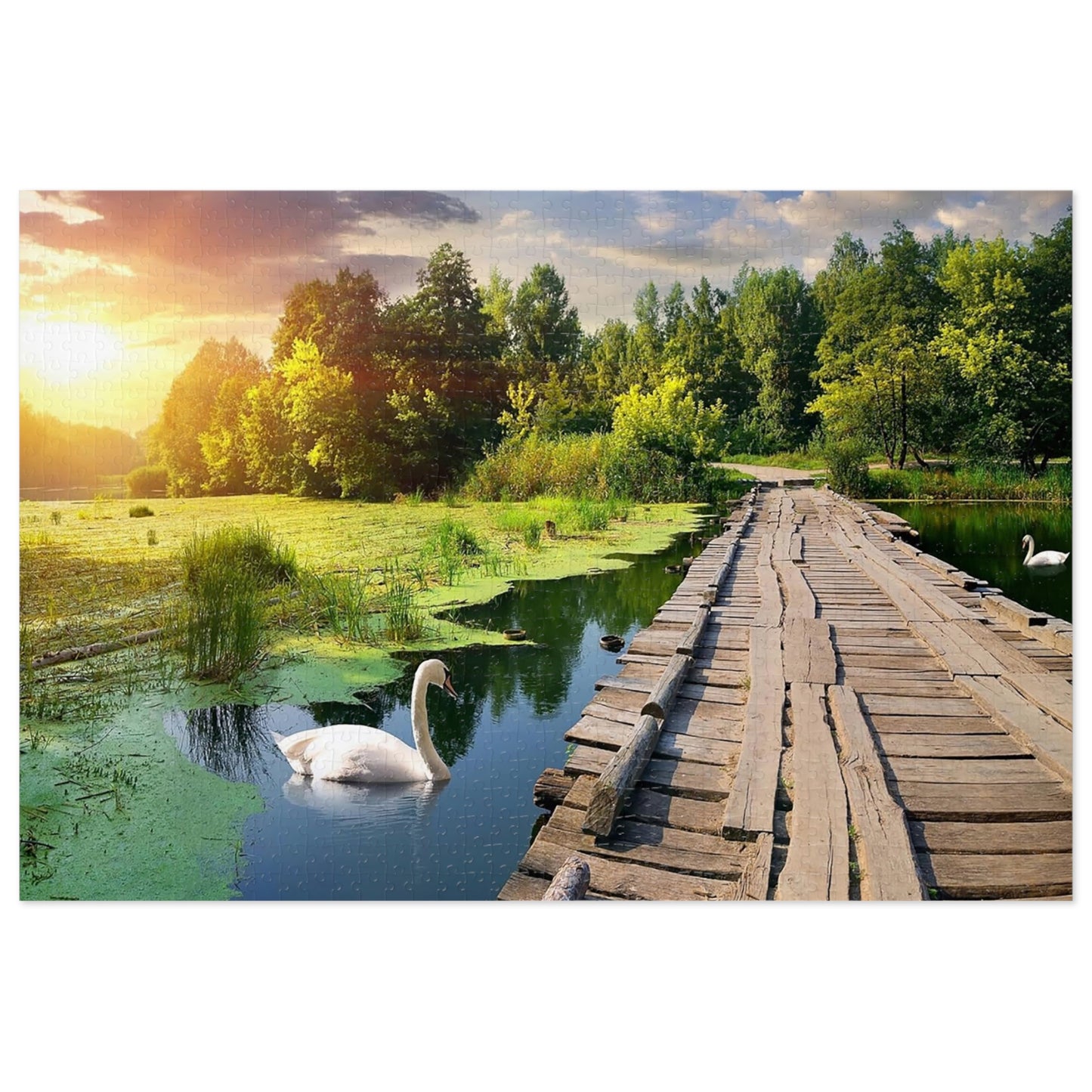 Sunset on Swan Lake  Jigsaw Puzzle (30, 110, 252, 500,1000-Piece)